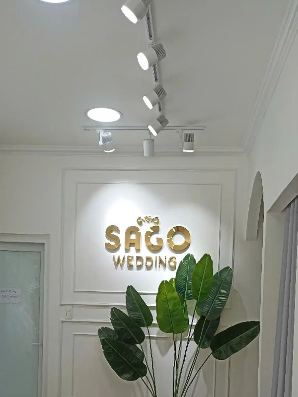trang tri studio